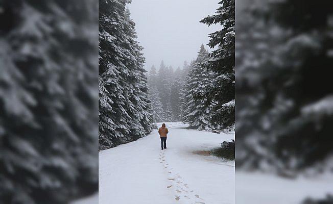 Bolu'da kar yağışı
