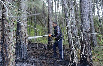 Bolu'da orman yangını