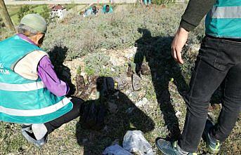 Boyabat'ta hükümlüler fidan dikti