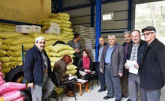 Boyabat'ta üreticilere çeltik tohumu dağıtıldı