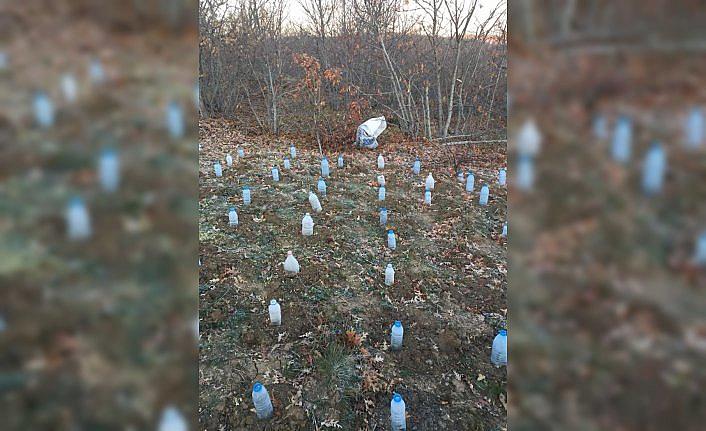 Çorum'da uyuşturucu operasyonu