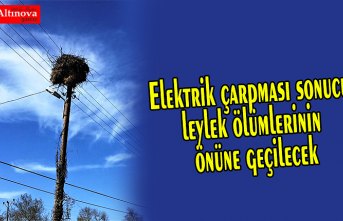Elektrik çarpması sonucu leylek ölümlerinin önüne geçilecek