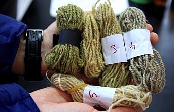 Isırgan otundan boya üretildi