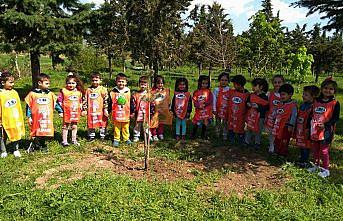 Merzifon’da minik öğrenciler fidan dikti