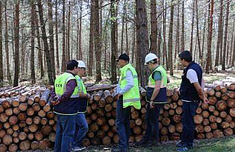 Mudurnu ormanlarındaki çalışmalar denetlendi