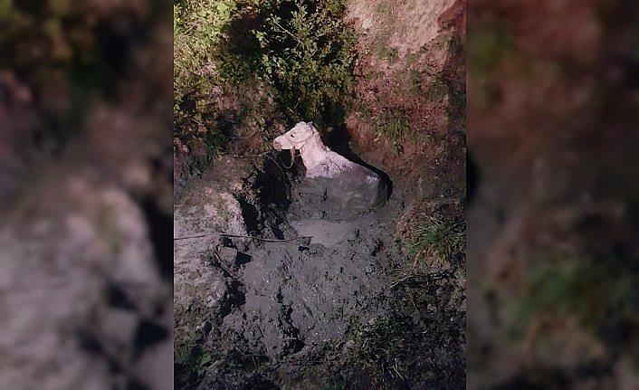 Yamaçtan yuvarlanan atı itfaiye kurtardı
