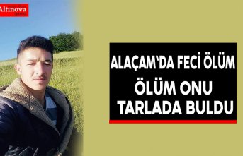 Ölüm Onu Tarlada Buldu