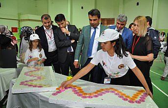 Safranbolu'da TÜBİTAK Bilim Fuarı