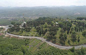 Ünye'de bu yıl 93 kilometre yol asfaltlanacak