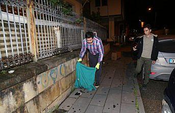 Yaralı karga koruma altına alındı