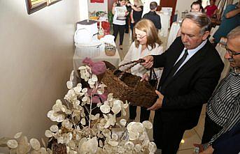 Artvin'de atıklardan yapılan ürünler sergilendi