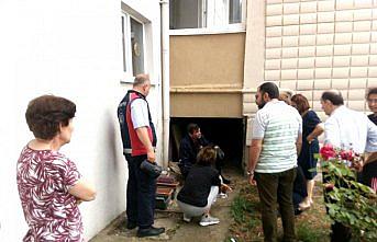 Asansör boşluğuna düşen yavru köpeği itfaiye kurtardı