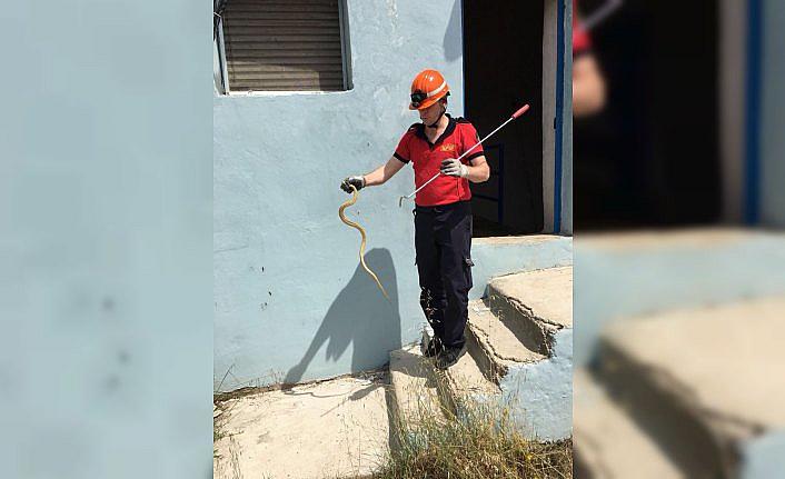 İtfaiye ekiplerinin yılan mesaisi