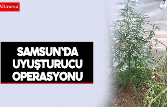 Samsun'da uyuşturucu operasyonu