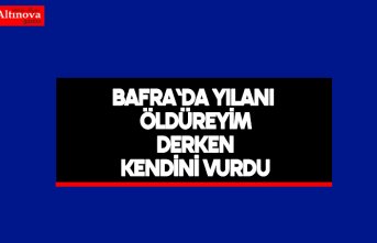 Bafra'da Yılanı Öldüreyim Derken Kendini Vurdu