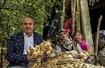 Başkan Arslan'dan çiftçilere ziyaret