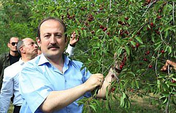 Bayburt Valisi Pehlivan'dan meyve üreticisine ziyaret