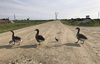 Beymen Club'ın fotoğraf yarışmasının kazananları belli oldu