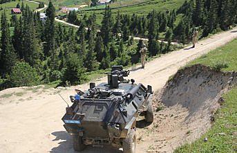 Giresun'da terör operasyonu