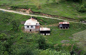 Hamsiköy'e turist ilgisi
