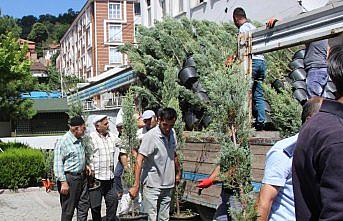 Havza Belediyesi vatandaşlara ücretsiz fidan dağıttı