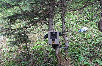 Ilgaz Dağı Milli Parkı fotokapanlar ile izlenecek