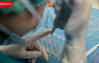 İngiltere'de Novichok maddesine maruz kalan kadın hayatını kaybetti