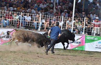 Kafkasör Kültür, Turizm ve Sanat Festivali