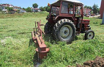 Ladik'te ot hasadında düşük rekolte