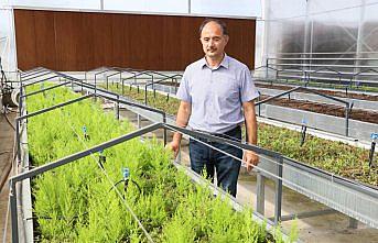 Özel günlerin yeşeren hediyesi 