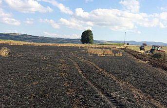 Vezirköprü'de buğday ekili tarla yandı