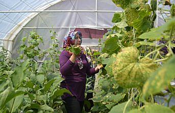 Yaz aylarının ilgi odağı kurslar