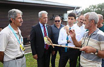 46. Uluslararası Arhavi Kültür ve Sanat Festivali