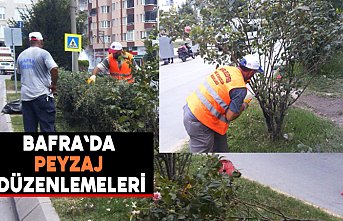 Bafra`da peyzaj çalışması