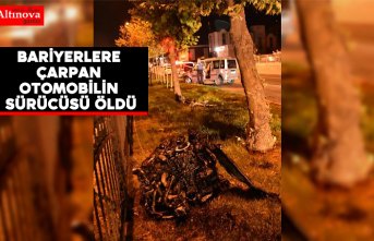 Bariyerlere çarpan otomobilin sürücüsü öldü