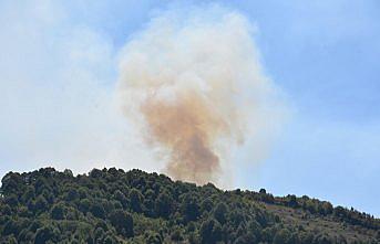 Bartın'da orman yangını