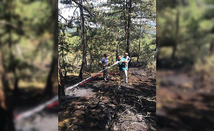 Bolu'da ormanlık alana yıldırım isabet etti