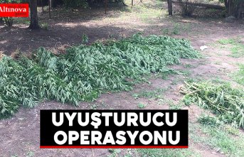 Çarşamba'da uyuşturucu operasyonu