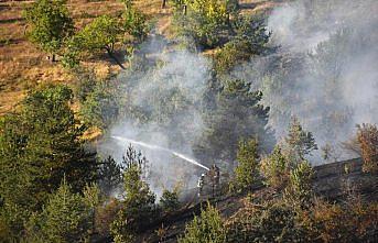 Gümüşhane'de örtü yangını