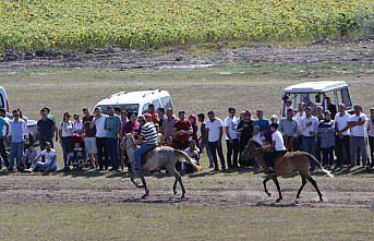 Havza'da Sılayırahim Festivali yapıldı