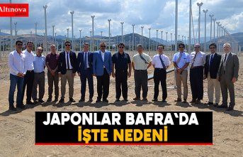 Japonlar Bafra`da işte nedeni