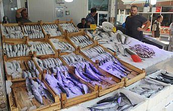 Karadeniz'de palamut bolluğu sürüyor