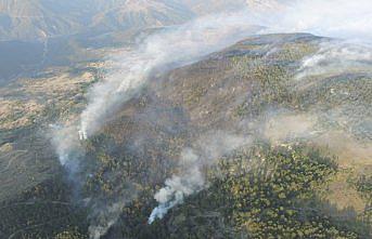 Kastamonu'daki orman yangını söndürüldü