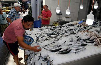 Palamudun fiyatı 2,5 liraya geriledi