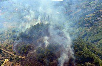 Trabzon'da çalılık yangını