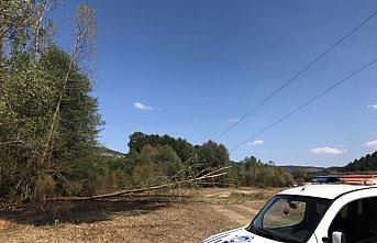 Azdavay'da ot yangını