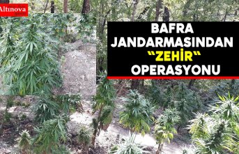 Bafra Jandarmasından "ZEHİR" operasyonu