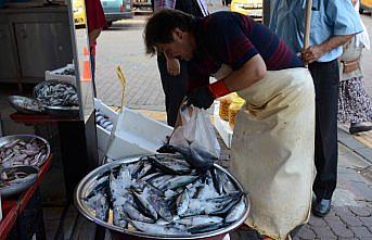 Balık fiyatları düşüyor