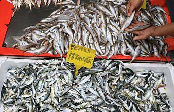 Balıkçılar deniz suyu ve hava sıcaklıklarının düşmesini bekliyor