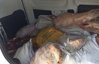 Bolu'da uygun koşullarda taşınmayan etler imha edildi